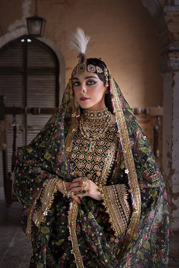 Mohsin Naveed Ranjha - Black Koyal