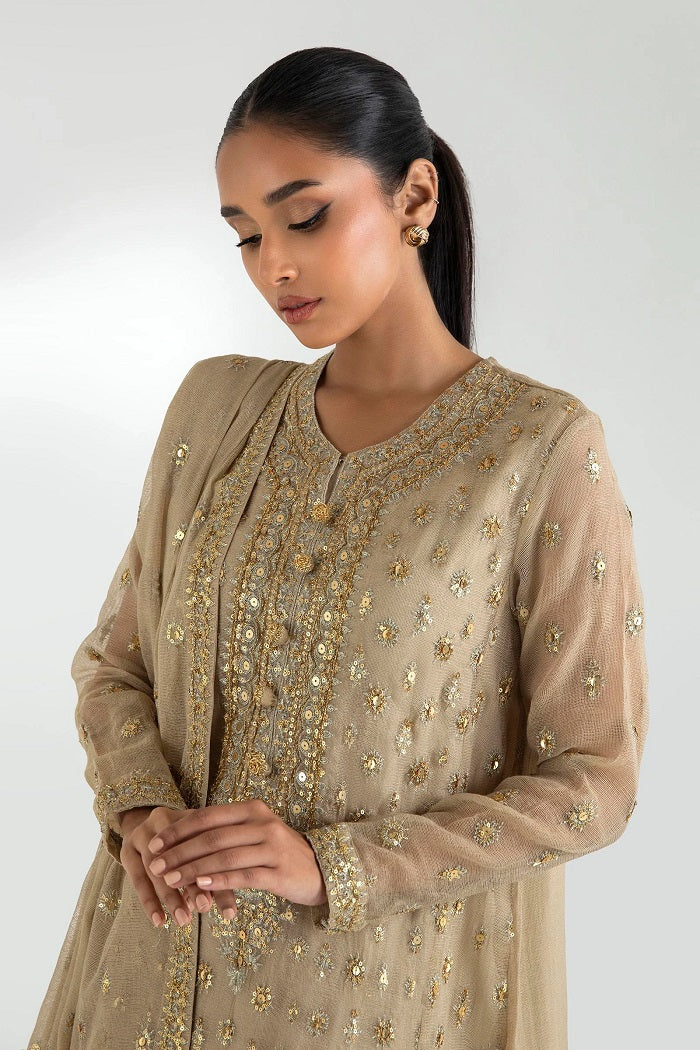 Beige Cotton Net Embroidered Dress