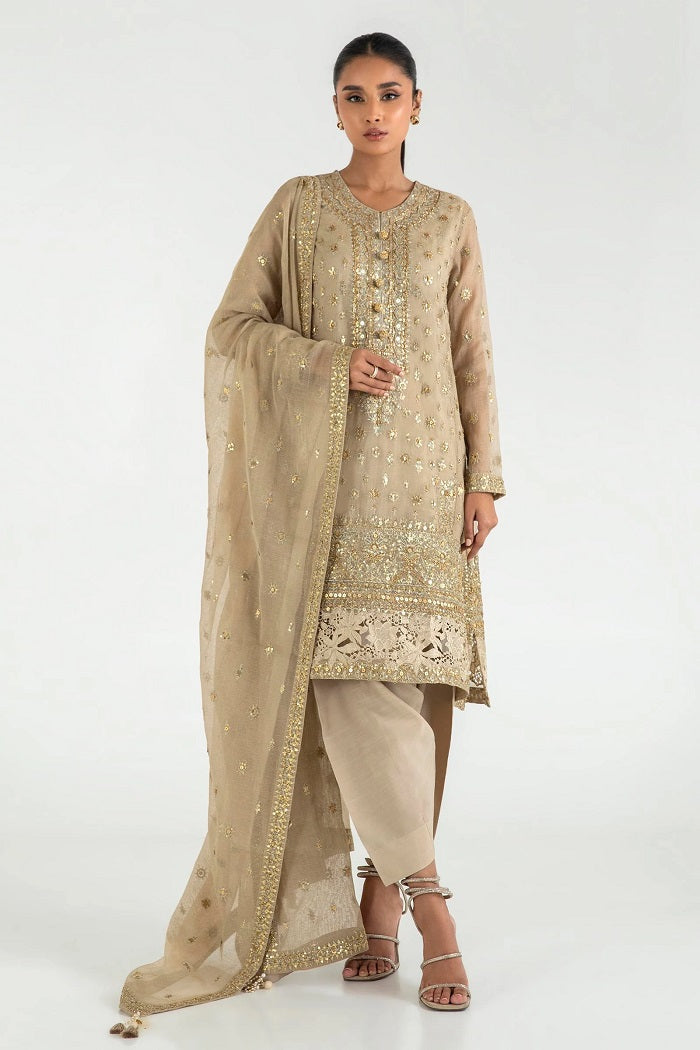 Beige Cotton Net Embroidered Dress